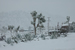 snow at Pappy's